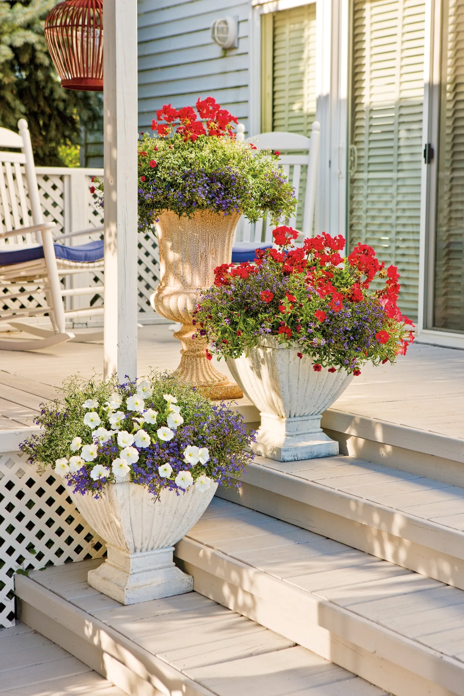 White Petunia — Proven Winners - Supertunia Mini Vista® White - Petunia white plant details, information and resources