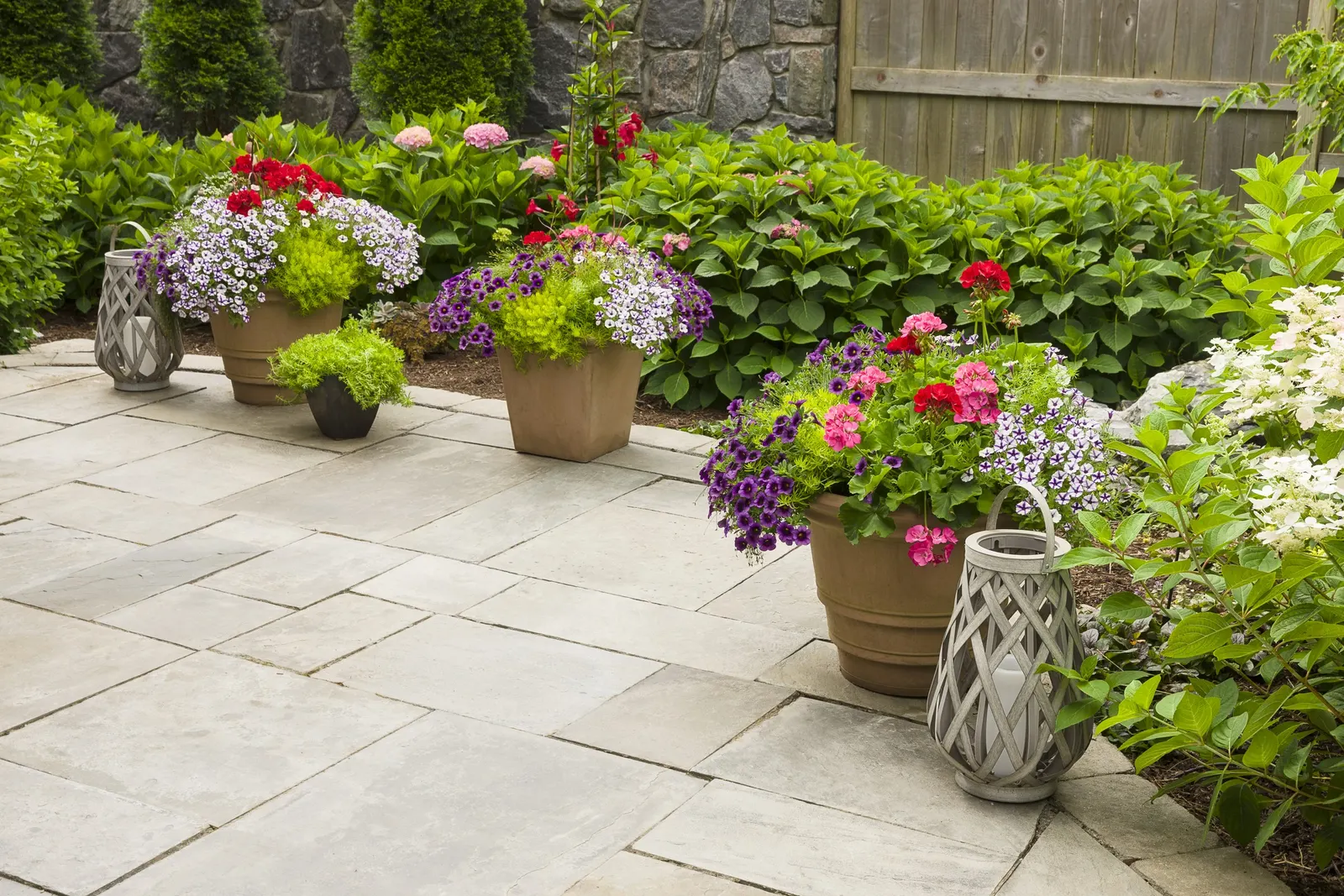 Grape Punch™ II Calibrachoa — or other jewel-toned annuals