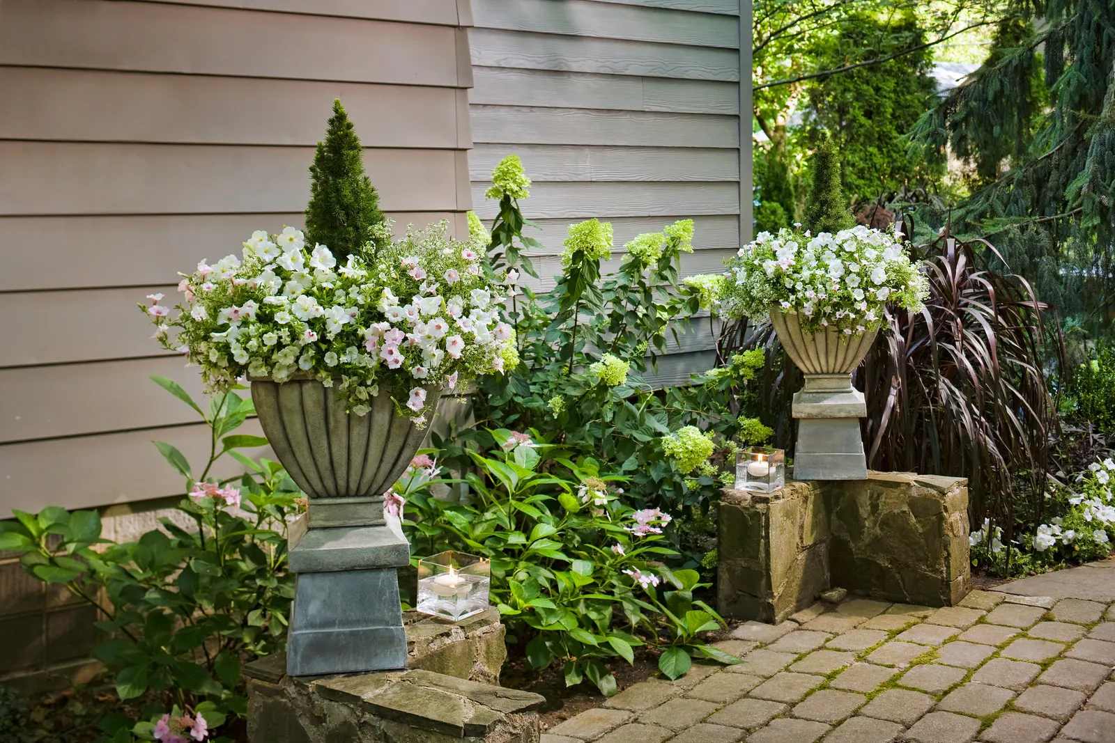 Snow Princess® Sweet Alyssum (Lobularia) — it is hardy in USDA Zones 9-11 and is notably tolerant of both cool spring weather and summer heat; its, image 115