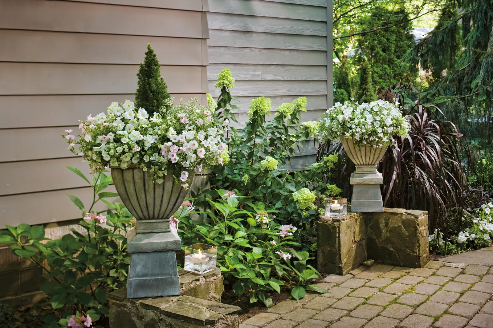 Snow Princess® Sweet Alyssum (Lobularia) — with the strongest bloom and fragrance in brighter exposures; and occasional feeding; no deadheading is needed