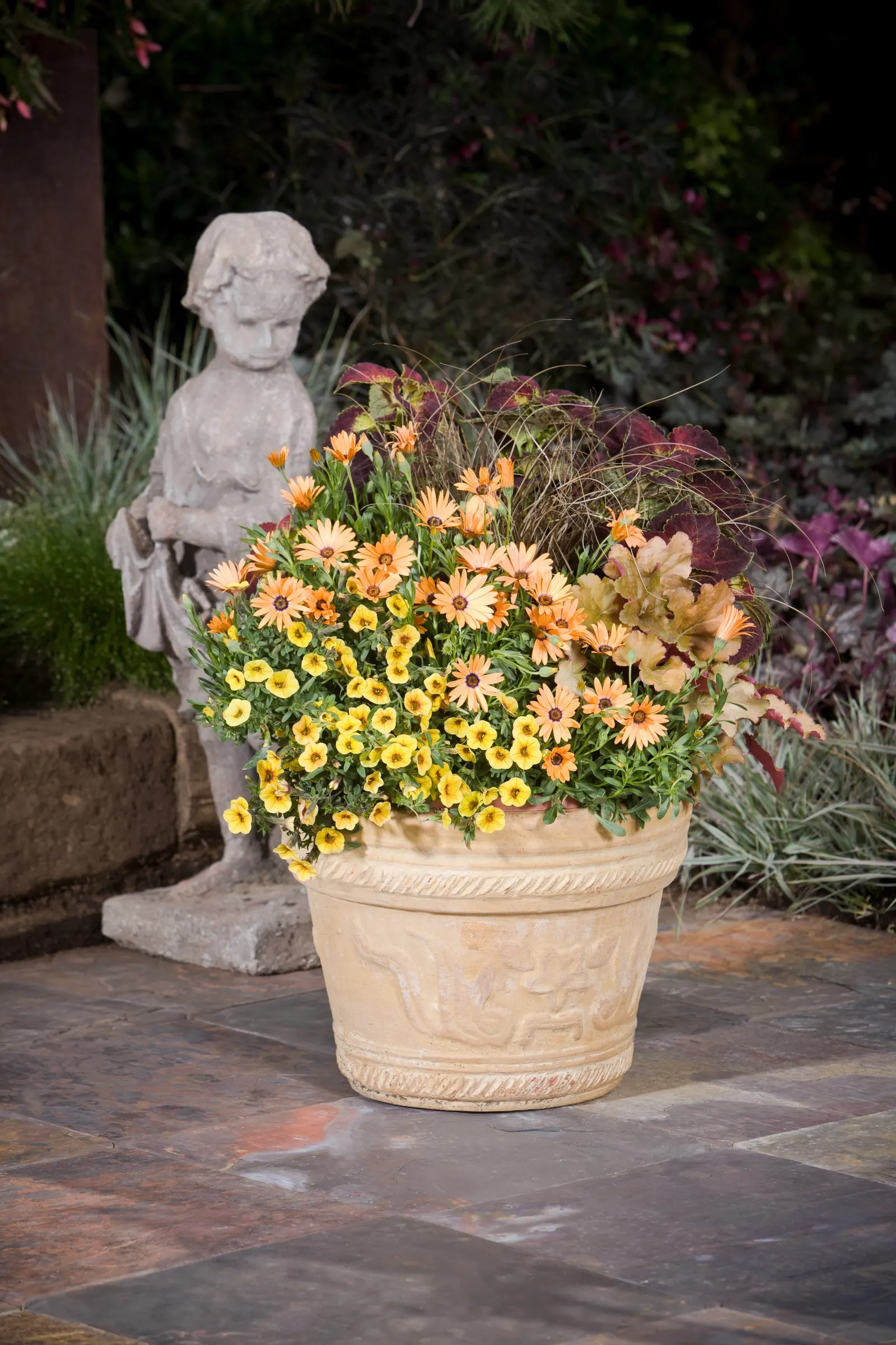 Yellow IV Calibrachoa — Deadheading is not necessary.<br><br>Use this variety as a spiller in hanging baskets