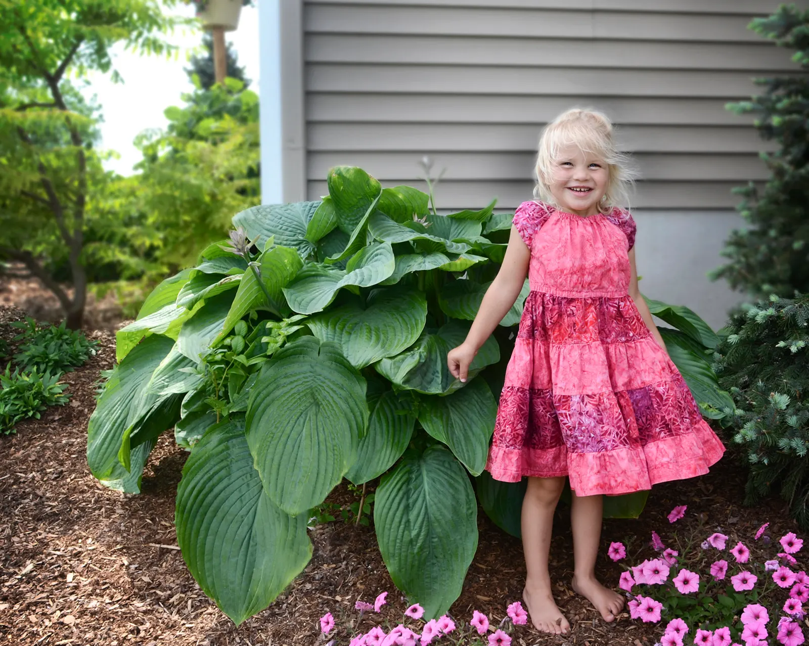 Giant 'Empress Wu' Hosta (Hosta hybrid) — dark green leaves topped with pale reddish violet flowers; information and resources