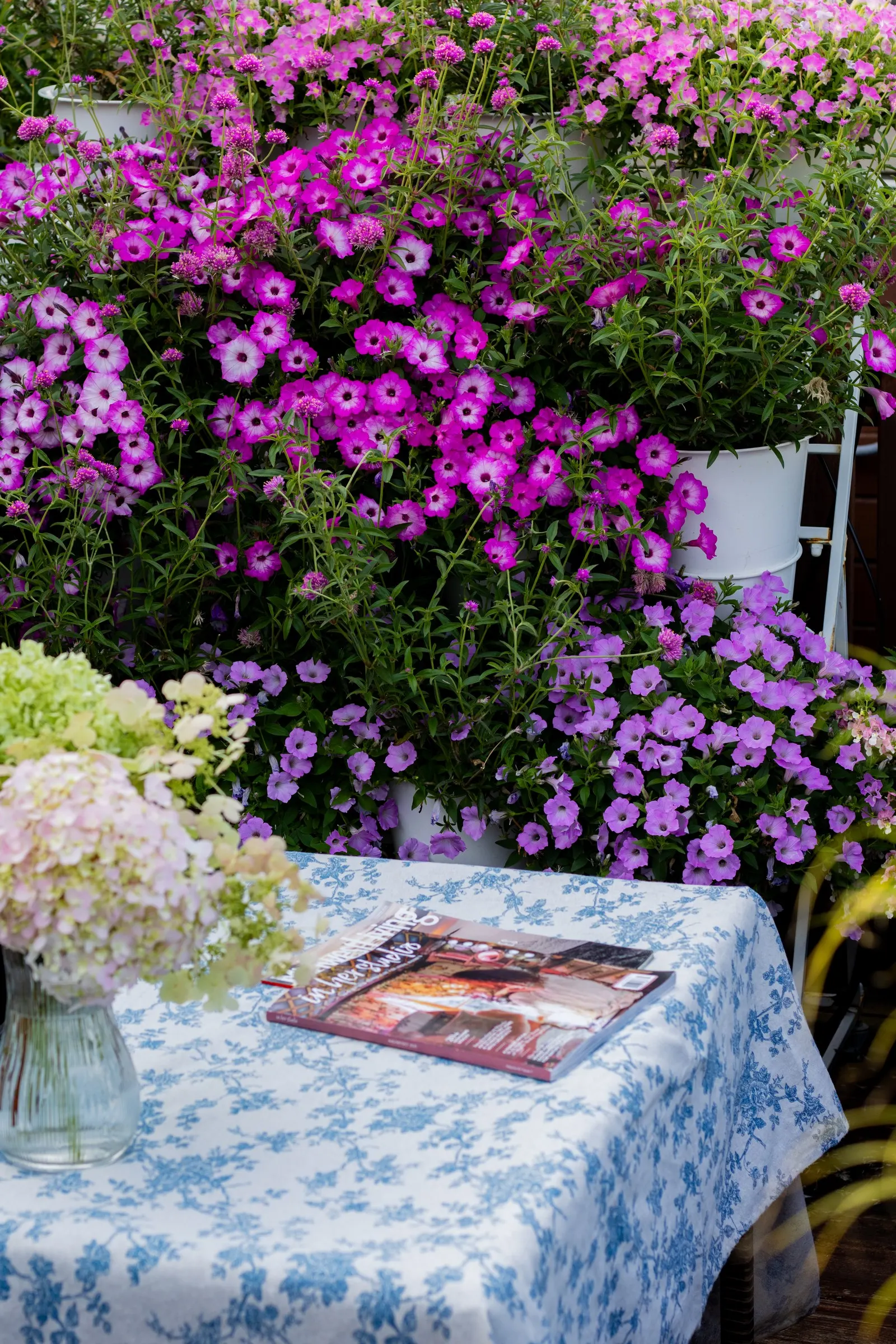 Pink Tiara™ petunia — prized for its mounding-trailing habit and radiant pink flowers