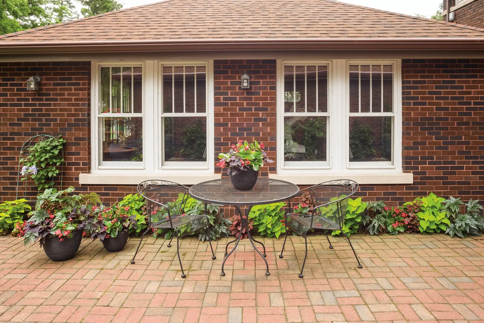 Rose Polka Dot Plant (Hypoestes phyllostachya) — It thrives in part shade to shade with average; in warm climates or protected summer plantings, image 57