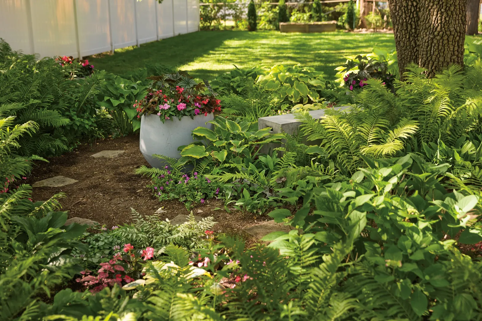 Giant 'Coast to Coast' Hosta (Hosta hybrid) — creating a richly textured effect that catches light beautifully in shaded compositions