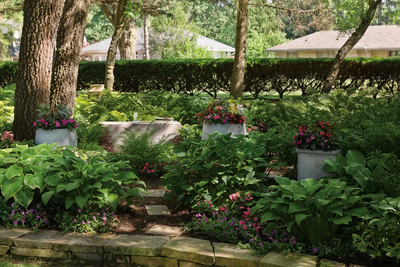 Coral Reef Double Impatiens (Impatiens walleriana) — information and resources