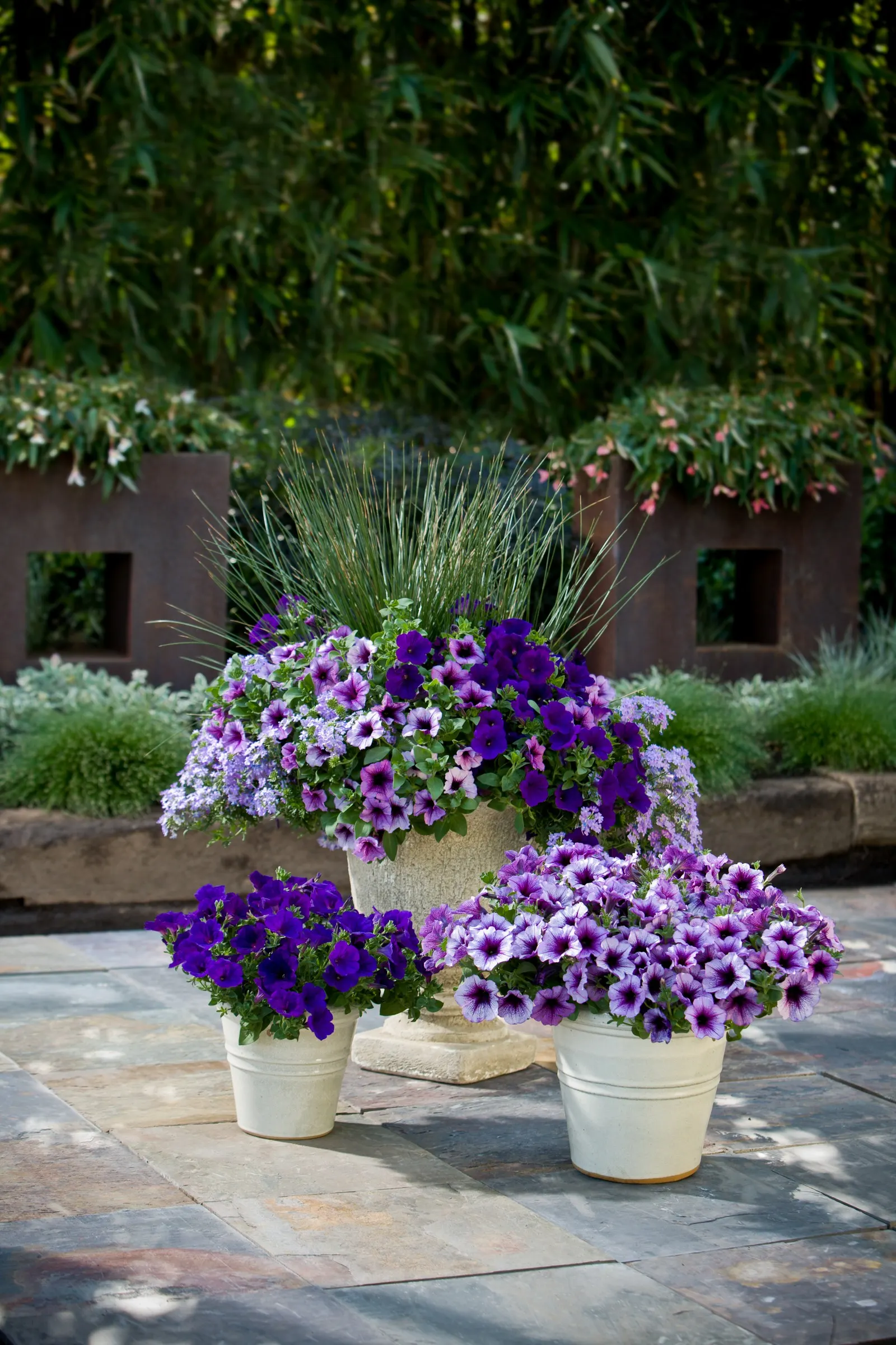 Blue Moon Punch™ Calibrachoa — though it is most often used as a high-performing annual in seasonal plantings
