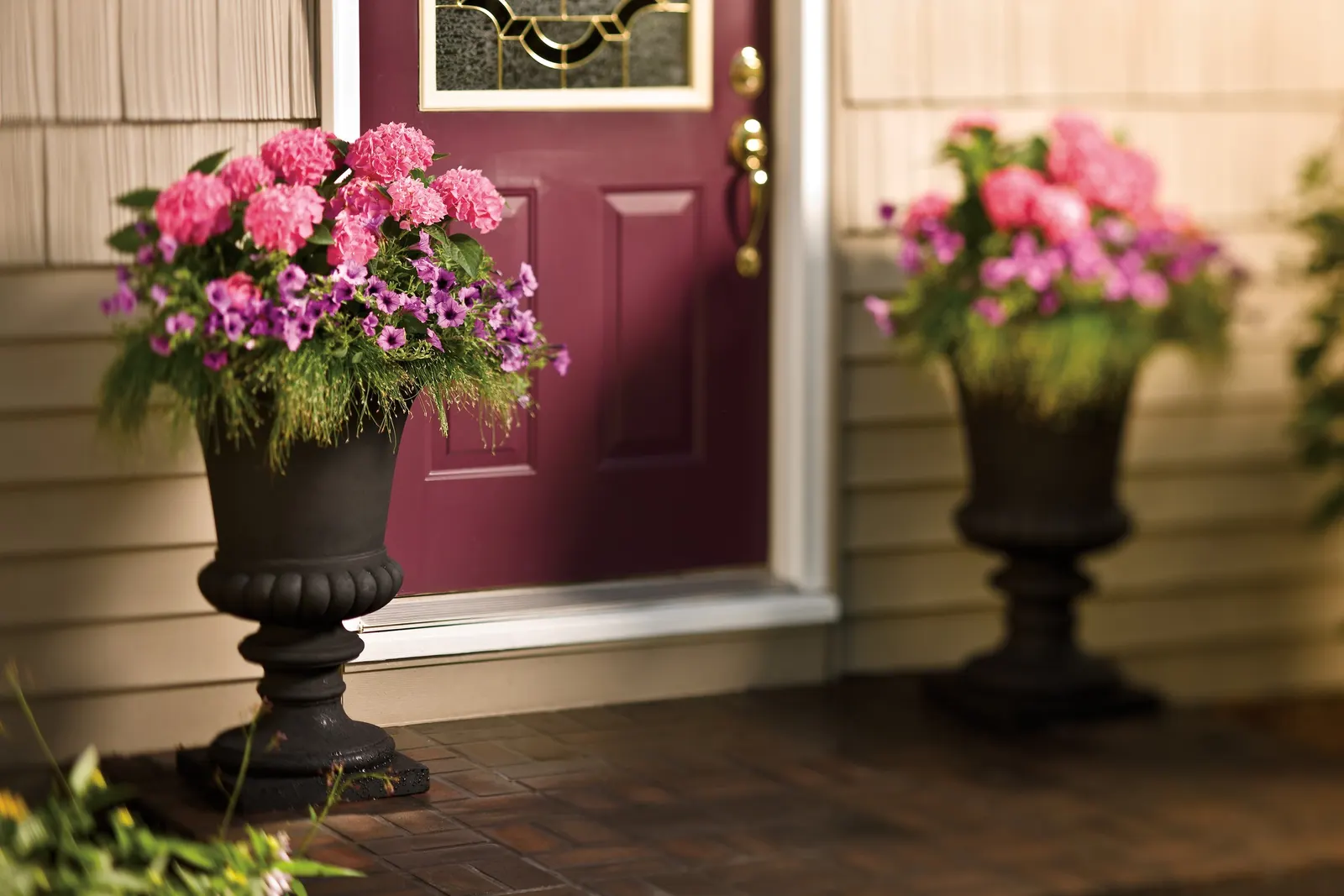 Let's Dance Big Band® Reblooming hydrangea (Hydrangea macrophylla) — romantic presence that makes bigleaf hydrangeas so beloved