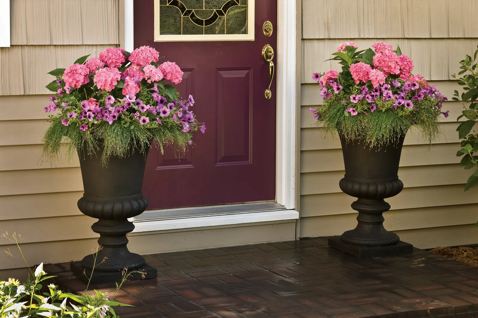 Let's Dance Big Band® Reblooming hydrangea (Hydrangea macrophylla) — Grow in fertile, moist, well-drained soil with part sun to sun, favoring afternoon shade