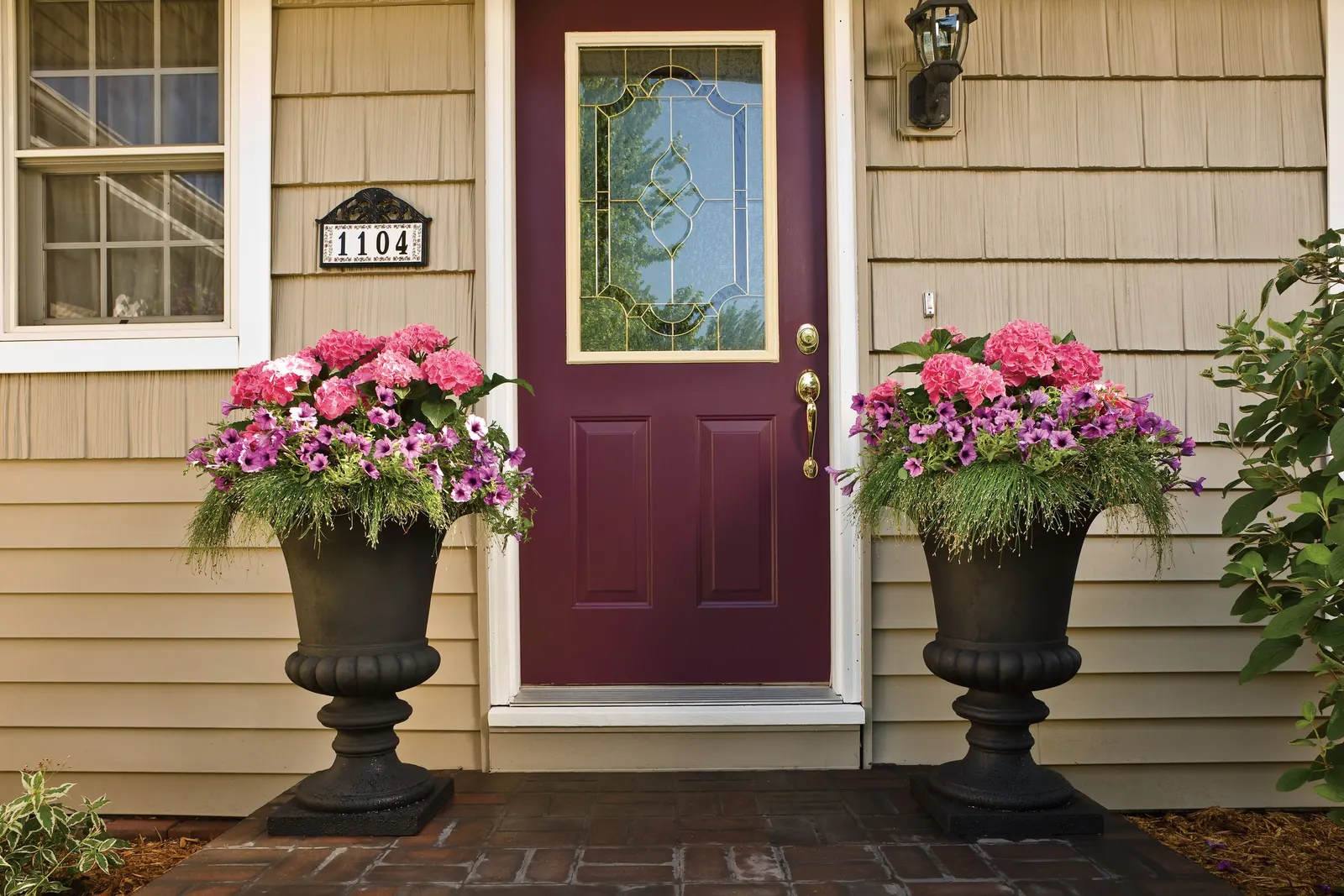 Let's Dance Big Band® Reblooming hydrangea (Hydrangea macrophylla) — is a compact deciduous shrub with the generous