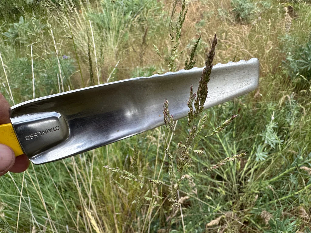 Poa Secunda