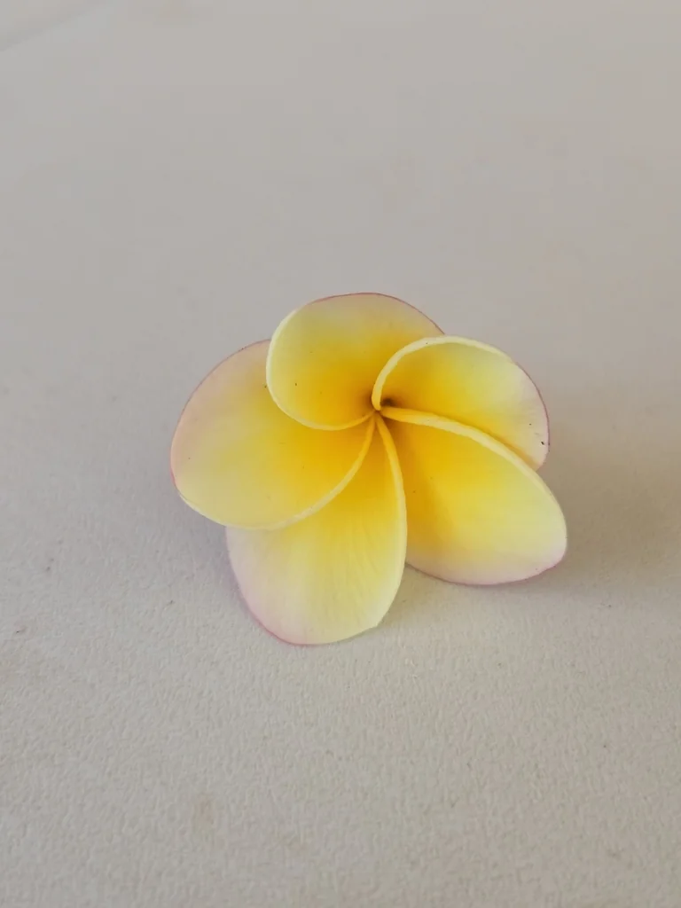 Plumeria Rubra