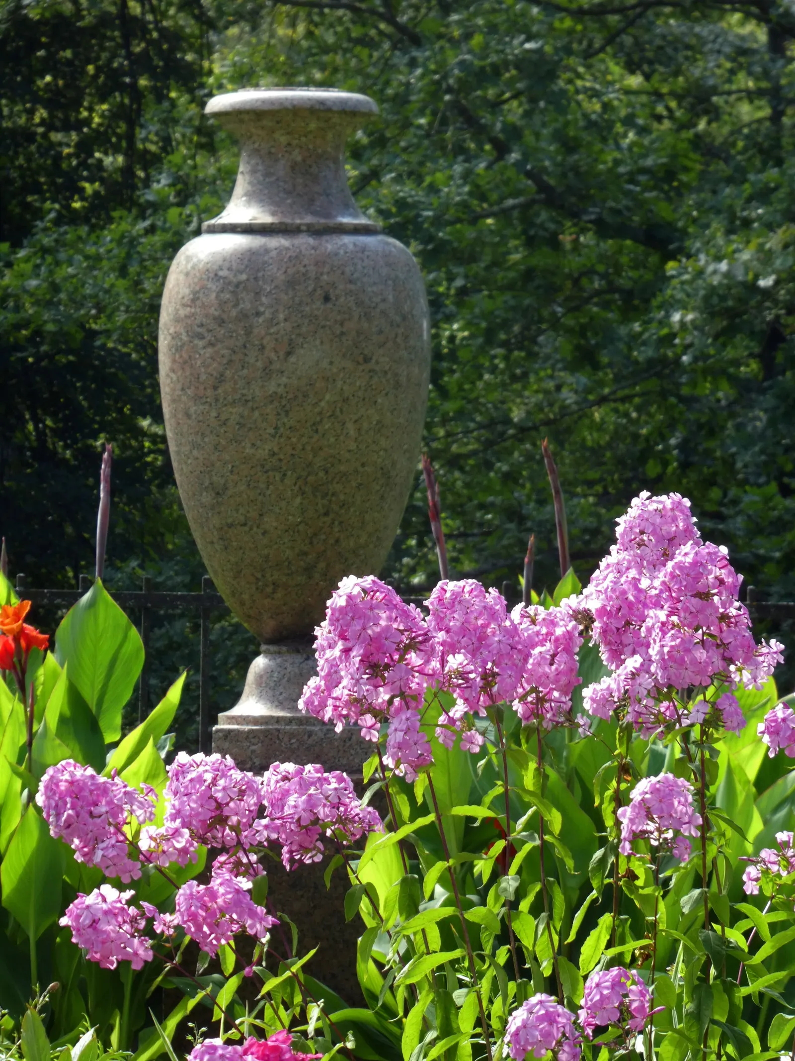 Coral Flame Phlox (Phlox Flame&trade; Series Coral) — this phlox variety thrives in full sun to part shade