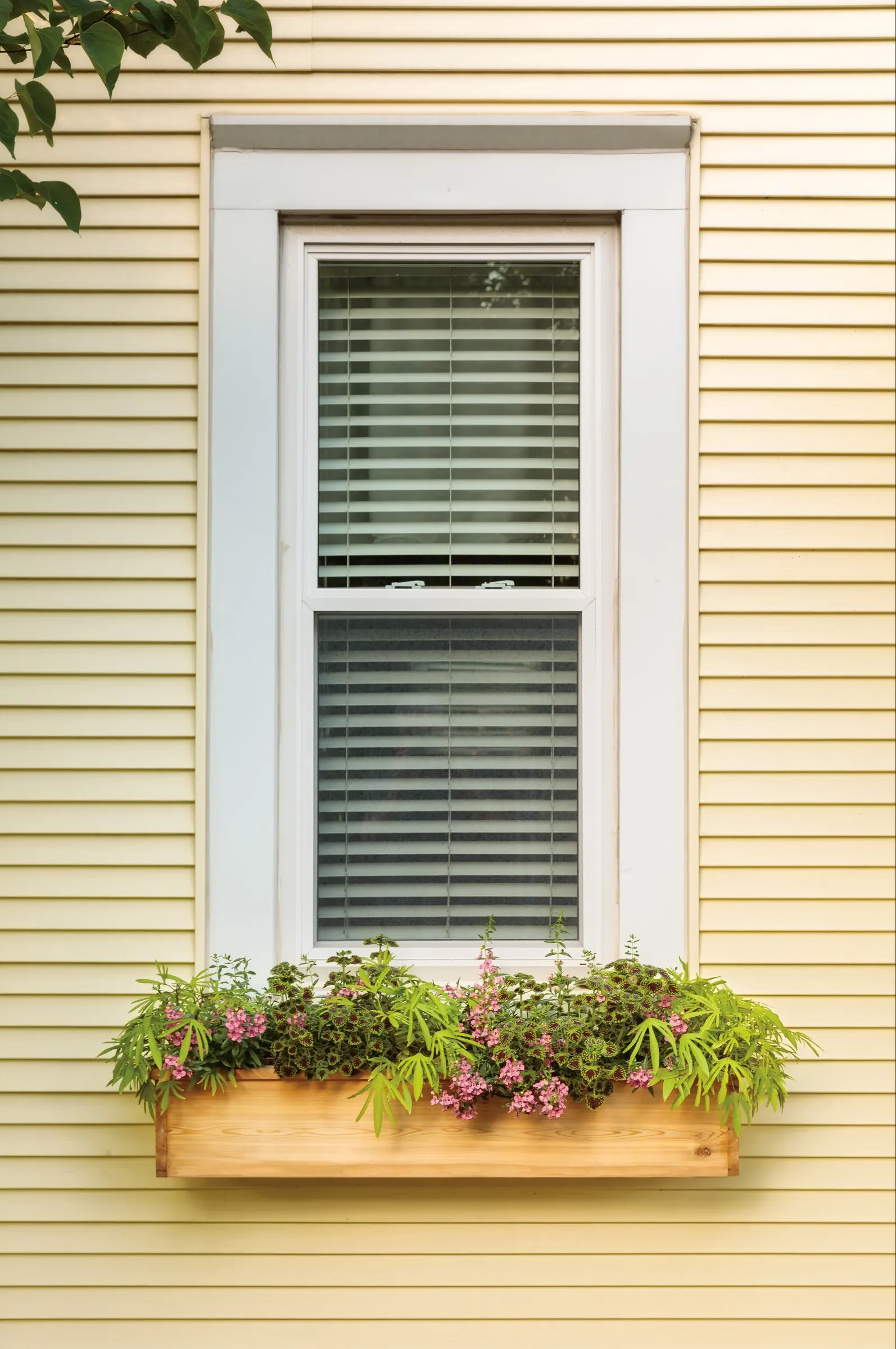Royale Red Zone™ Lantana (Lantana camara) — Part of the Proven Winners® collection; deadheading is generally unnecessary