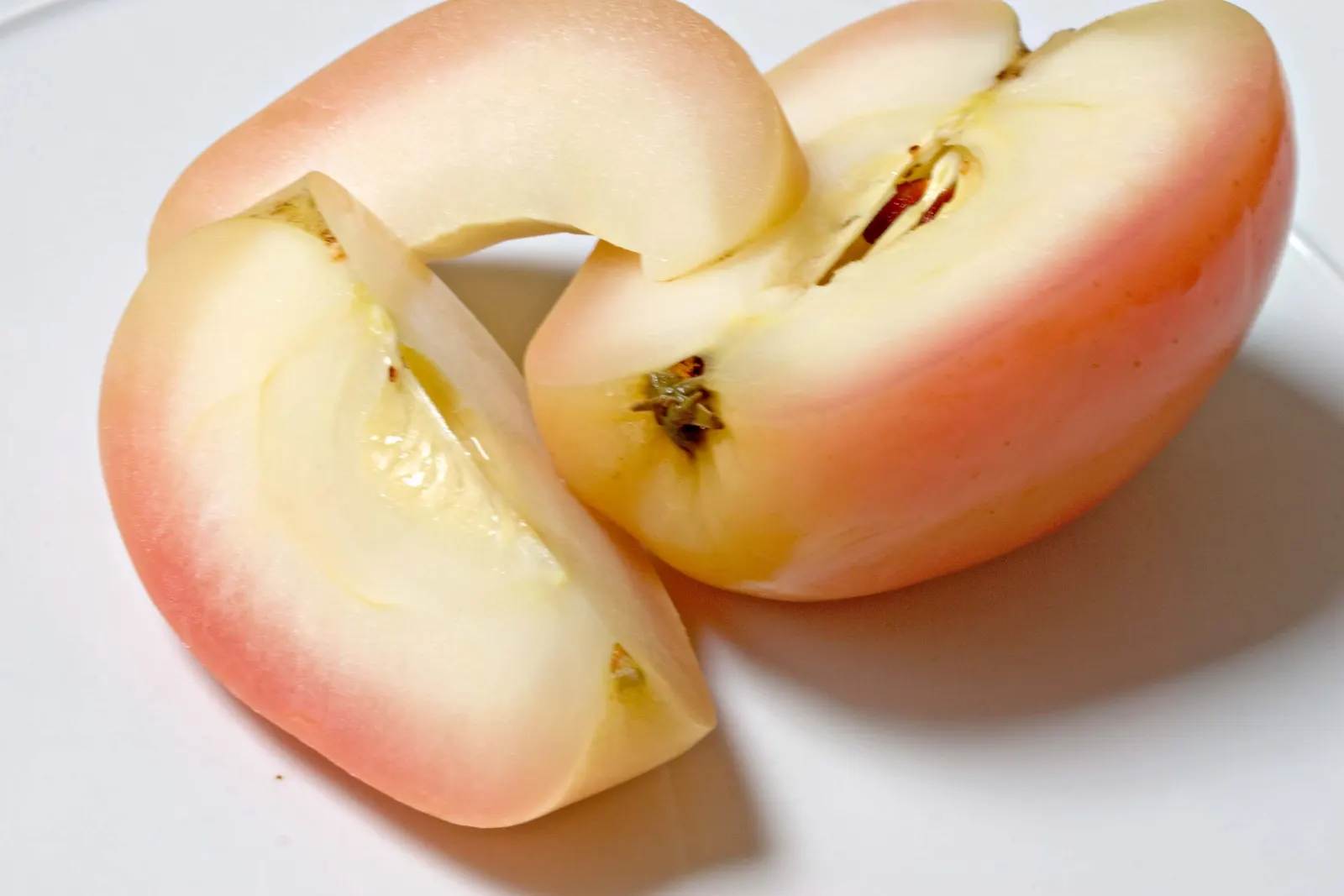Gala Apple (Malus 'Gala') — Plant in USDA Zone 4-8 for best production, with reliable annual yields