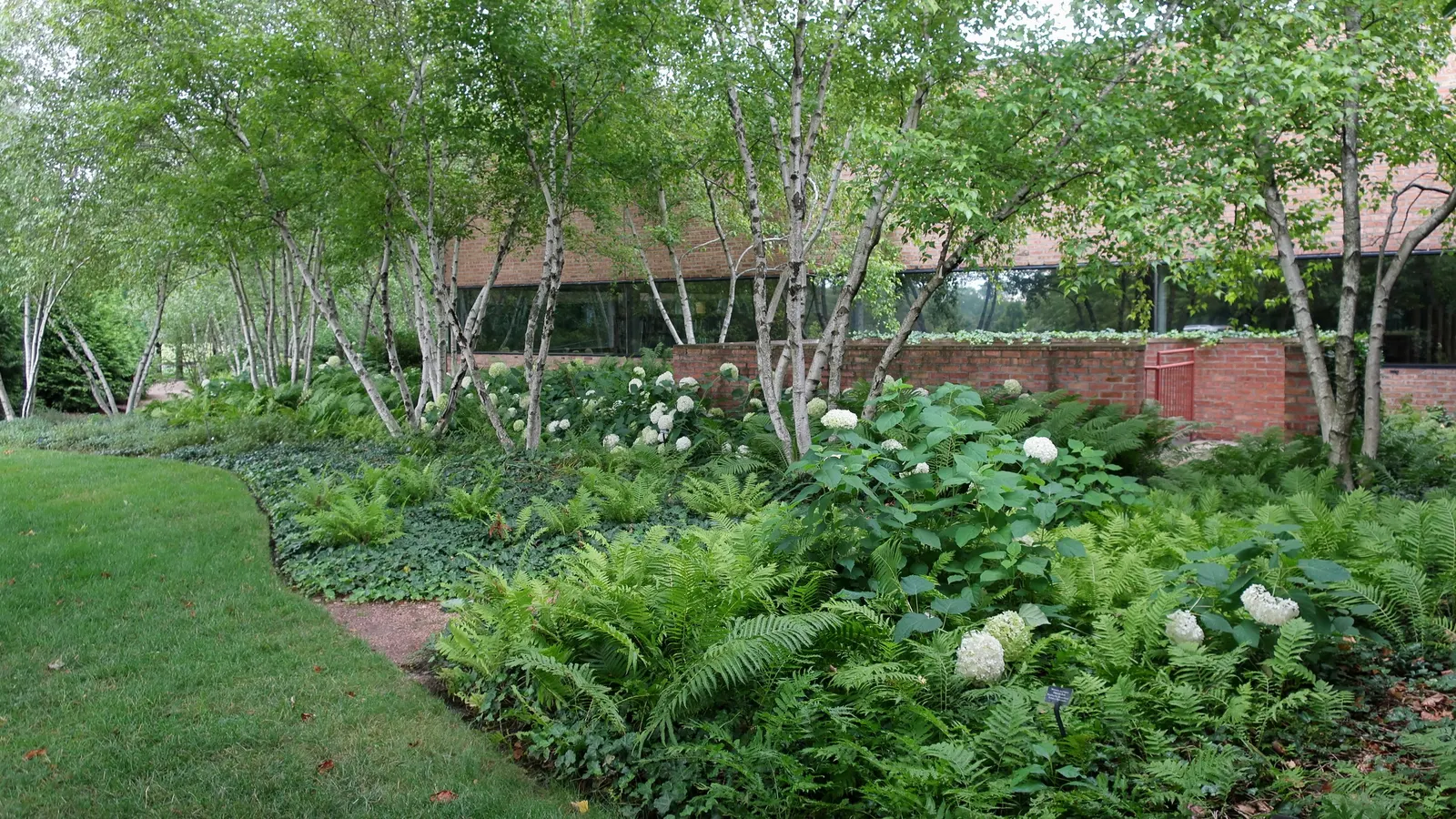 Annabelle Hydrangea (Hydrangea Arborescens 'Annabelle') — This hydrangea is hardy in USDA zones 3 through 9, making it an adaptable choice for many climates