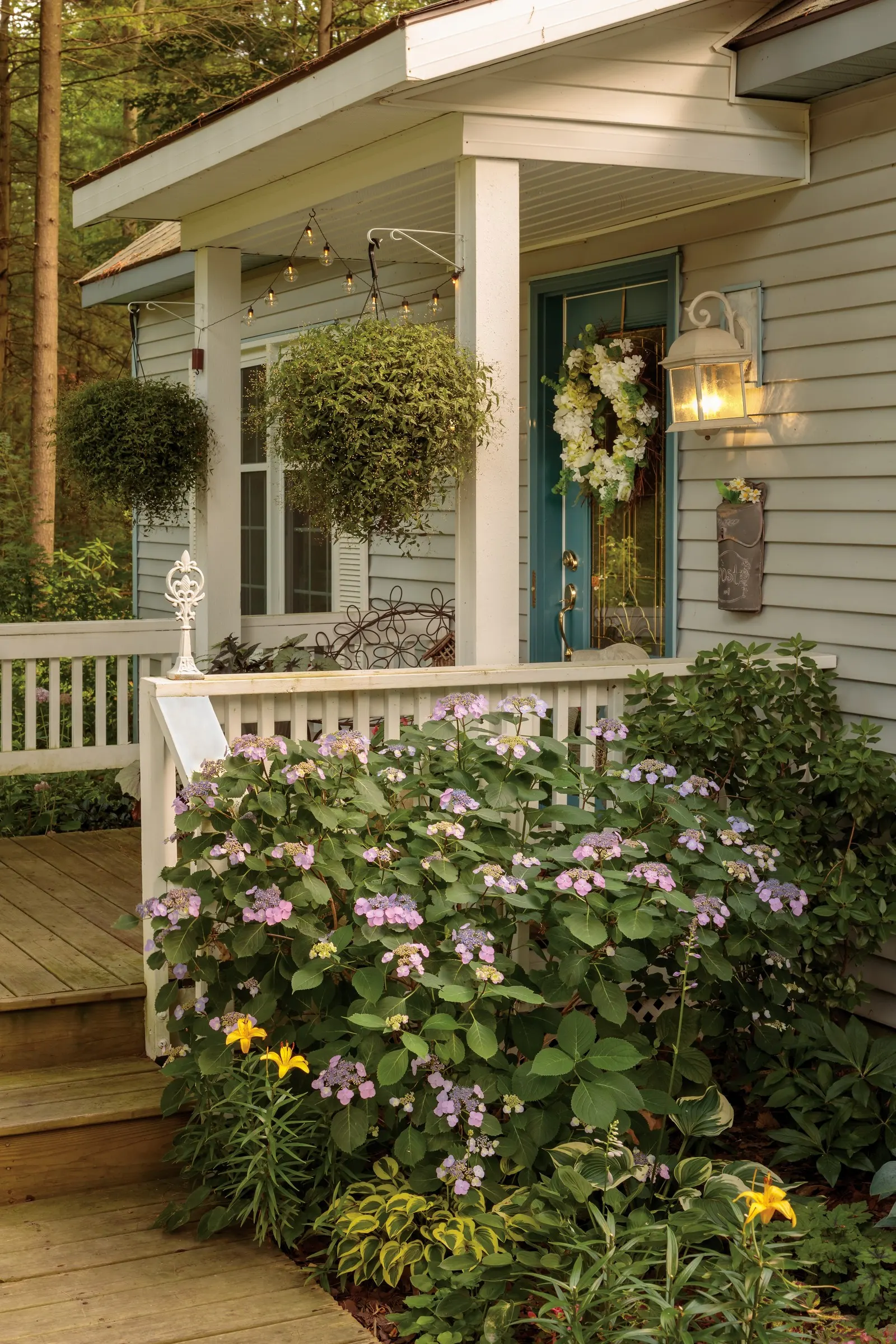 Gatsby Gal® Oakleaf hydrangea (Hydrangea quercifolia) — The Hydrangea quercifolia is a compact oakleaf hydrangea with bold lobed foliage