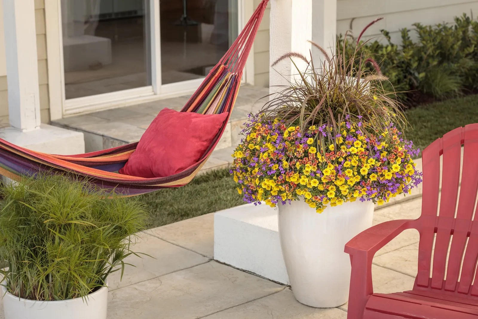 Ultraviolet™ Lobelia (Lobelia erinus) — It grows 6-12 inches tall and spreads 12-24 inches