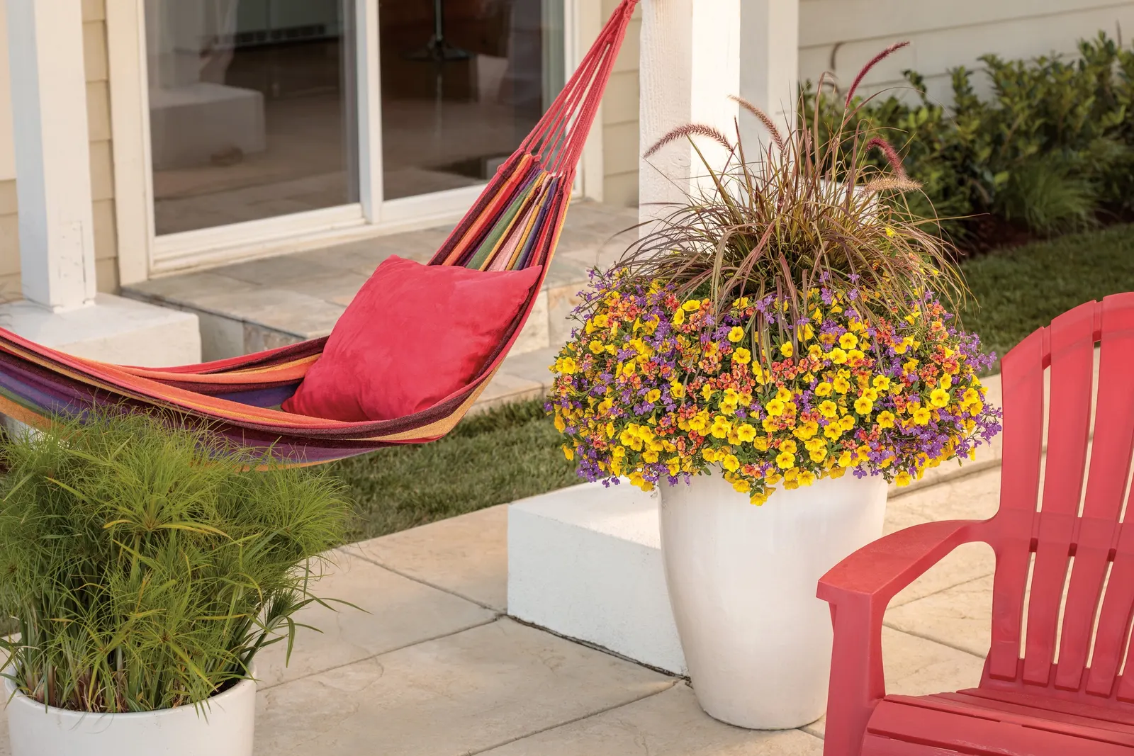 Yellow IV Calibrachoa — The overall effect is buoyant and polished—soft enough to mingle with mixed plantings