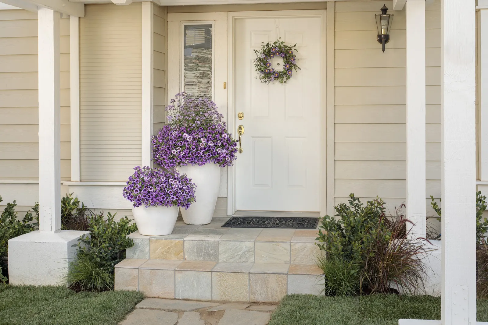 Ultraviolet™ Lobelia (Lobelia erinus) — commonly referred to as Ultraviolet™ Lobelia