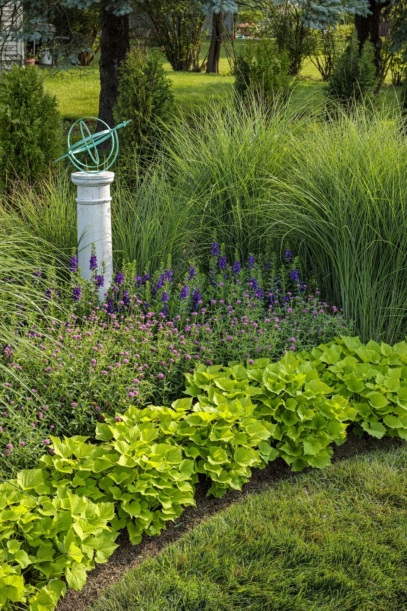 Super Blue II Summer Snapdragon (Angelonia angustifolia) — so deadheading is not necessary