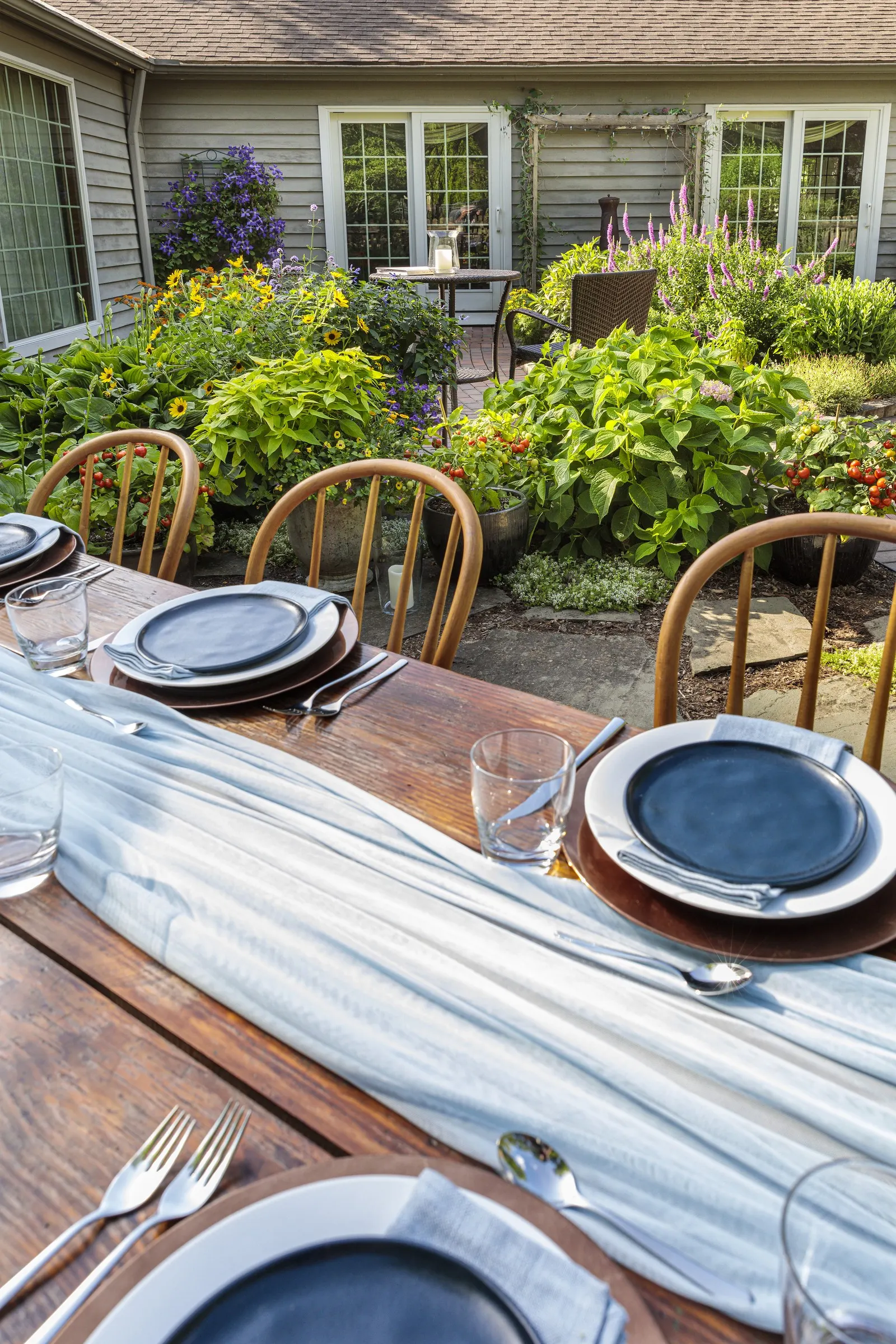 Pink Salvia — Proven Winners - Unplugged® Pink - Salvia pink bright pink and black plant details, information and resources