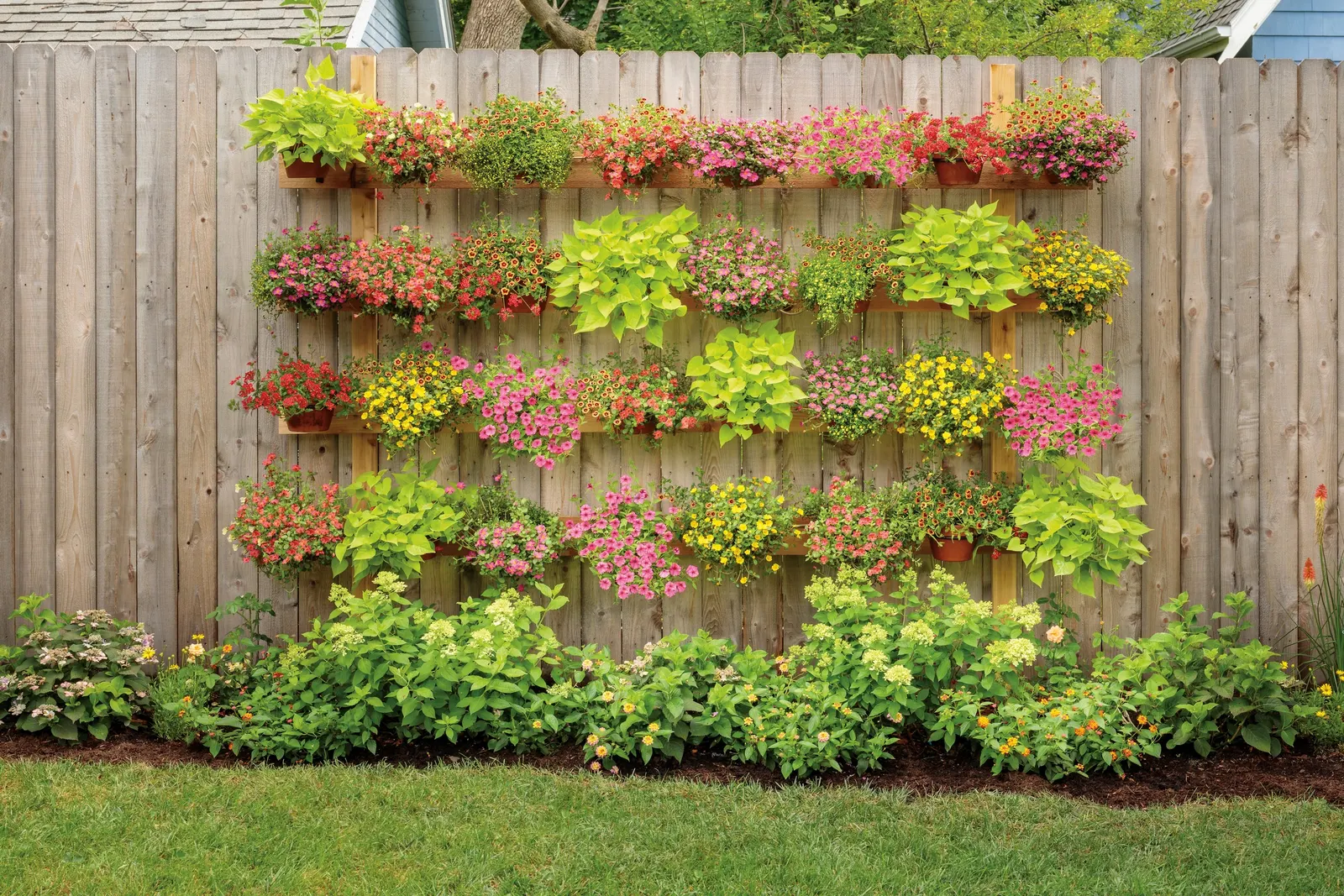 Double Chiffon Double Calibrachoa — trailing annual with abundant soft blush-yellow double blooms and fresh green foliage