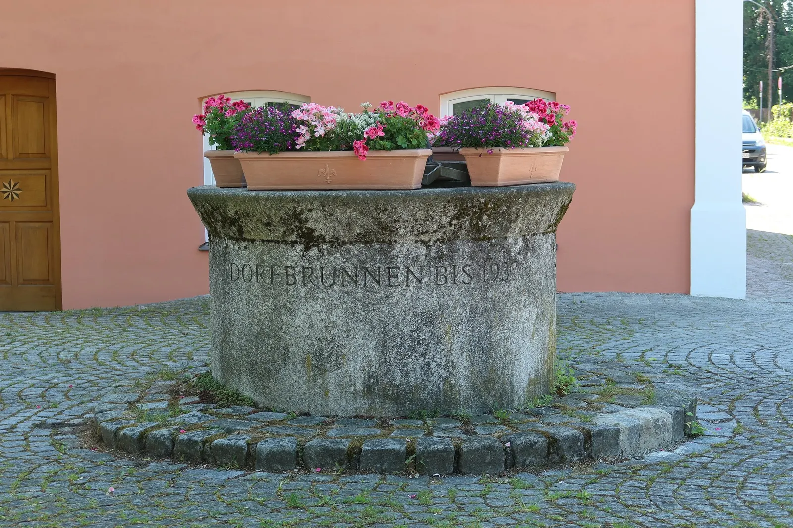 Copthorne Pelargonium (Pelargonium 'Copthorne') — commonly referred to as the Copthorne Geranium