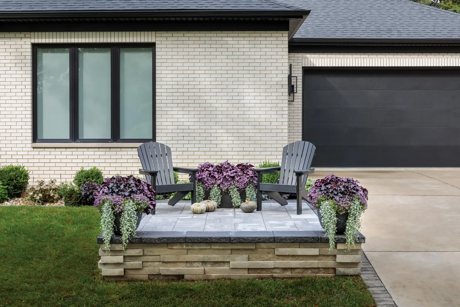 Violet Knight® Sweet Alyssum (Lobularia maritima) — spreading mound with a graceful trailing habit