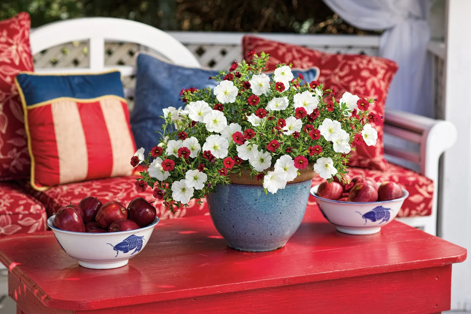 Red II Calibrachoa — and mixed seasonal planters
