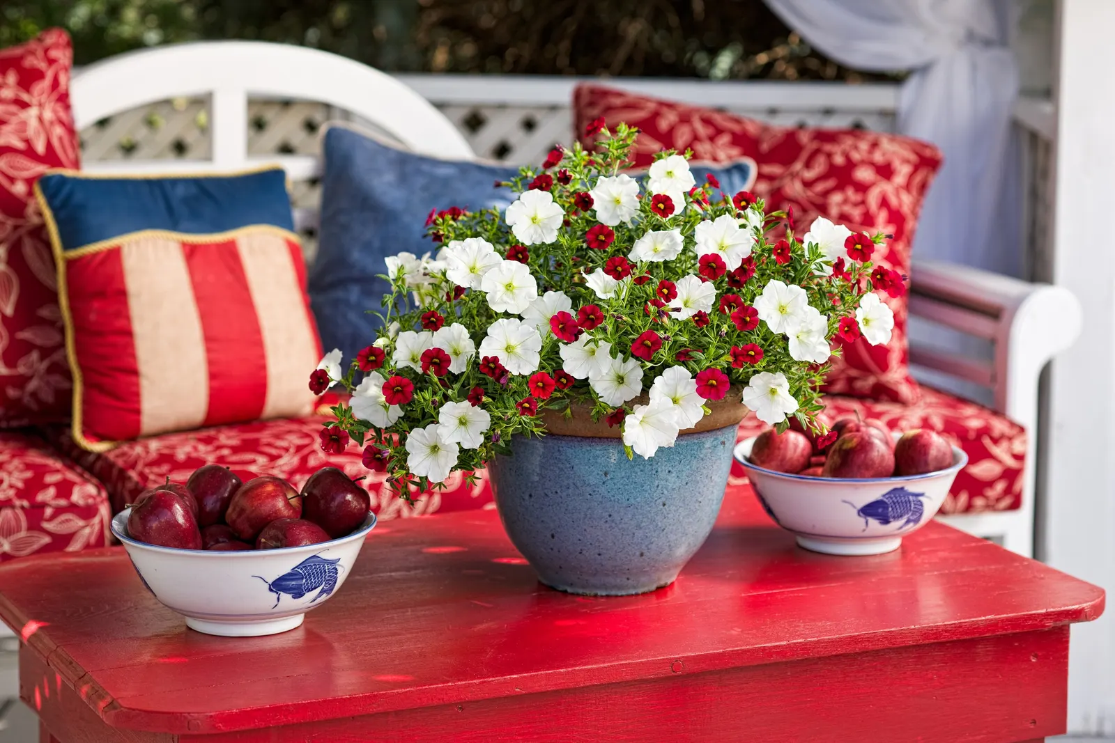 Red II Calibrachoa — Red II typically reaches 6 to 12 inches tall and trails 12 to 24 inches wide