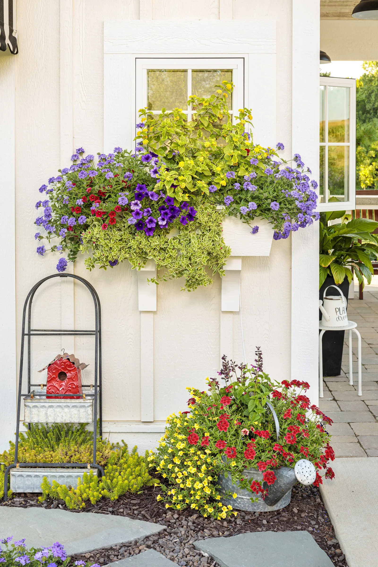 Violet Ice Verbena — making it broad enough to soften edges yet restrained enough for refined container work