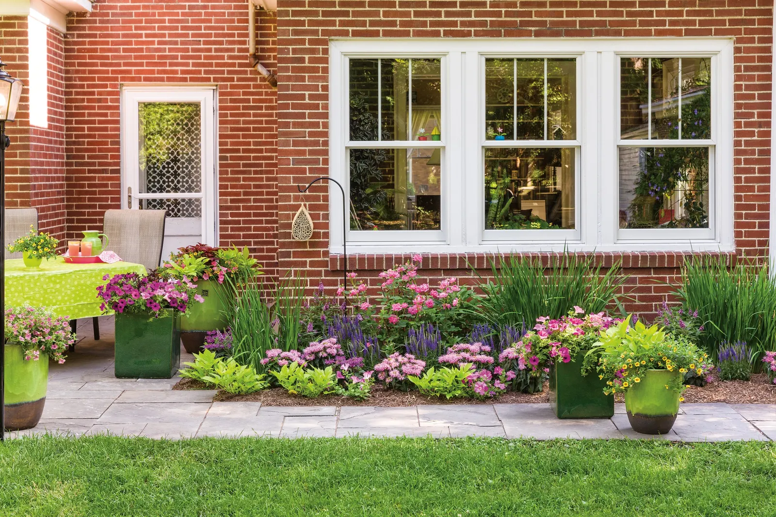 Royal Magenta® II Petunia — average well-drained soil