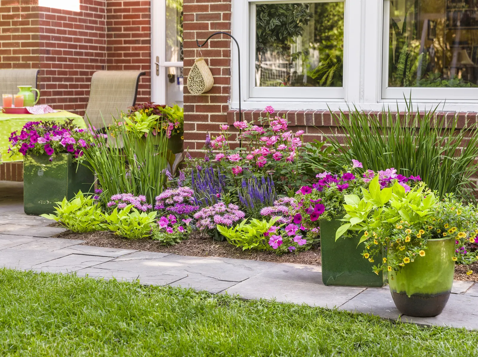 Royal Magenta® II Petunia — Best in part sun to full sun
