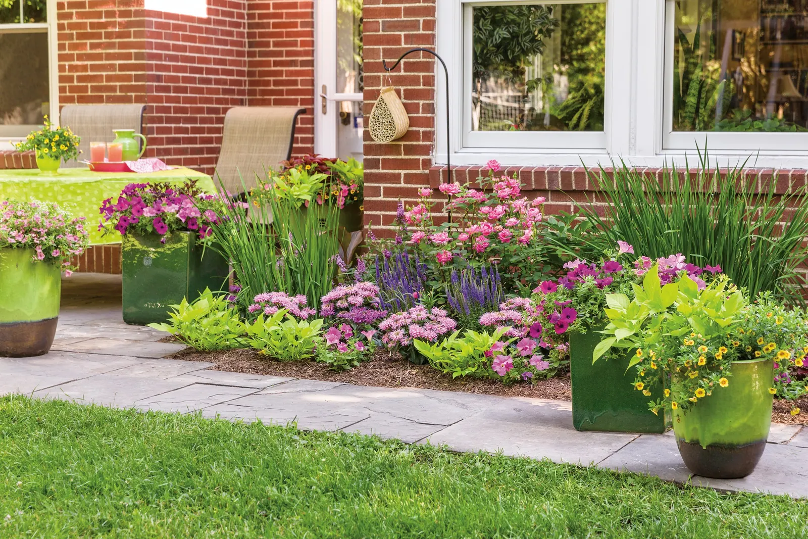 Royal Magenta® II Petunia — commonly referred to as Royal Magenta® II Petunia