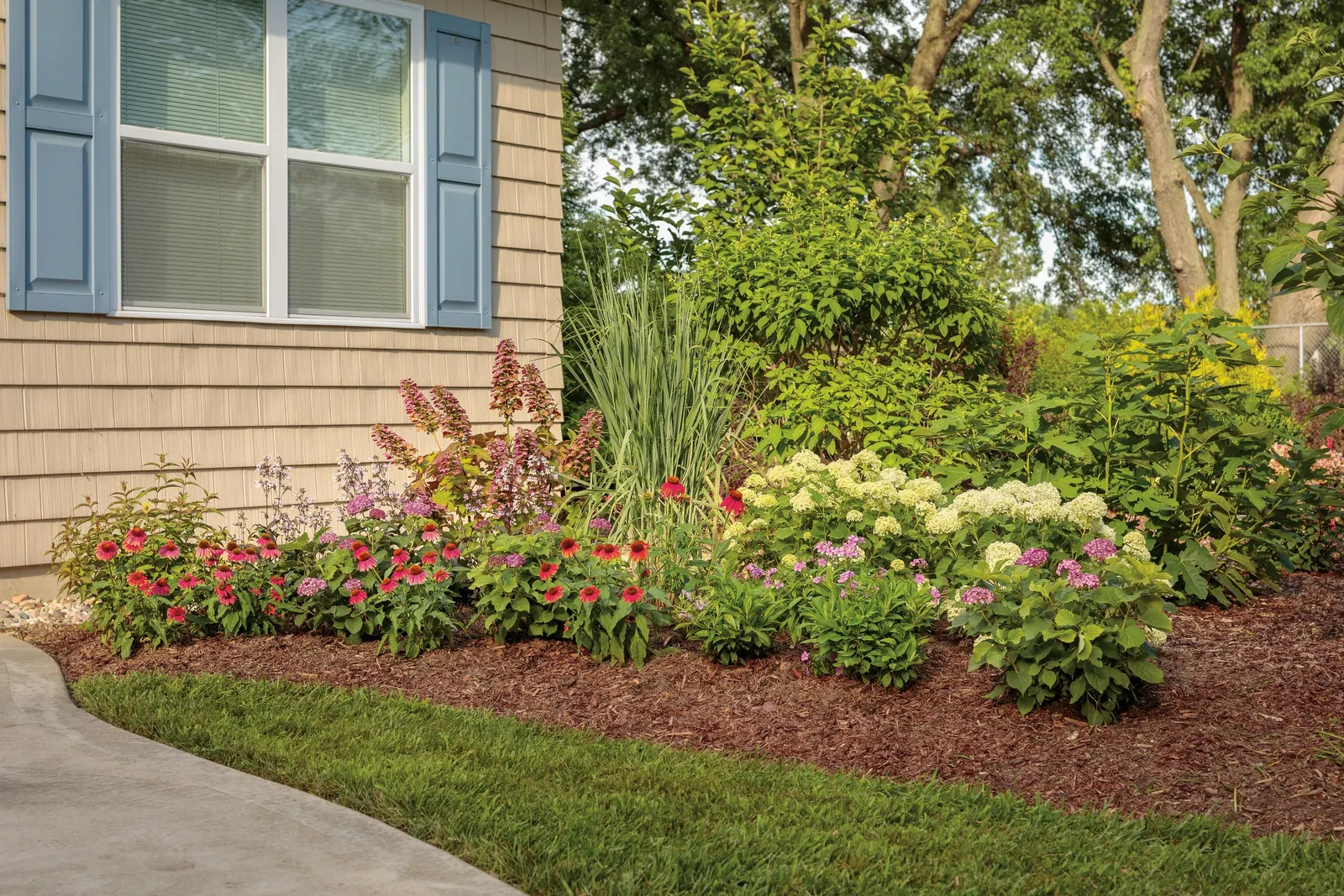 Gatsby Pink® Oakleaf hydrangea (Hydrangea quercifolia) — It matures 6-8 feet tall and wide, with mahogany-red fall color