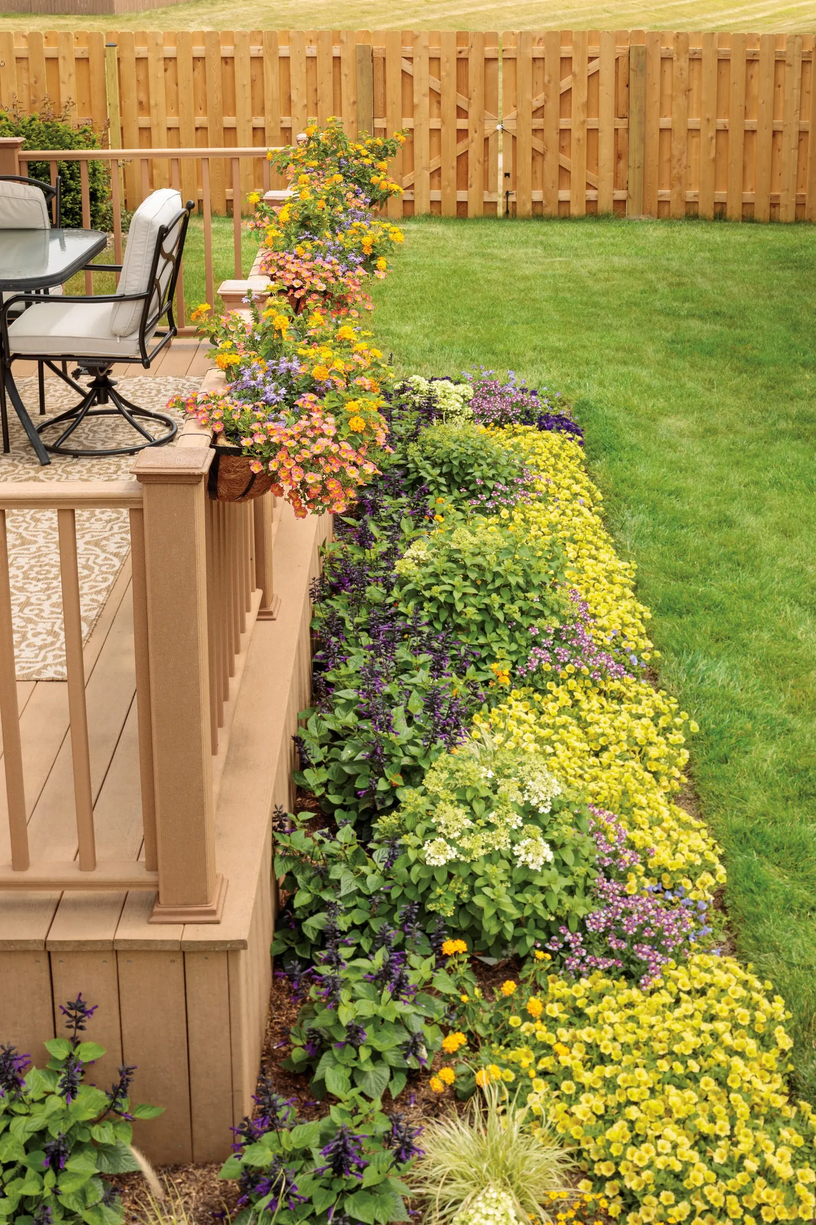 Yellow Petunia — Proven Winners - Supertunia Mini Vista® Yellow - Petunia yellow citrus yellow plant details