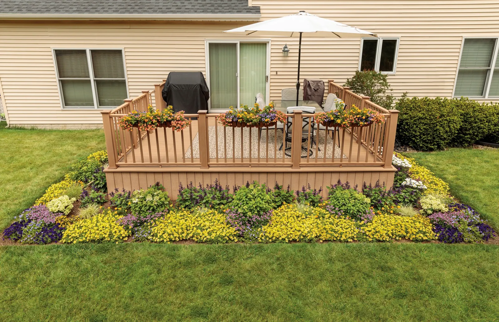 Yellow Petunia — try the Supertunia Mini Vista Yellow; you may repeat the trim as needed through the season