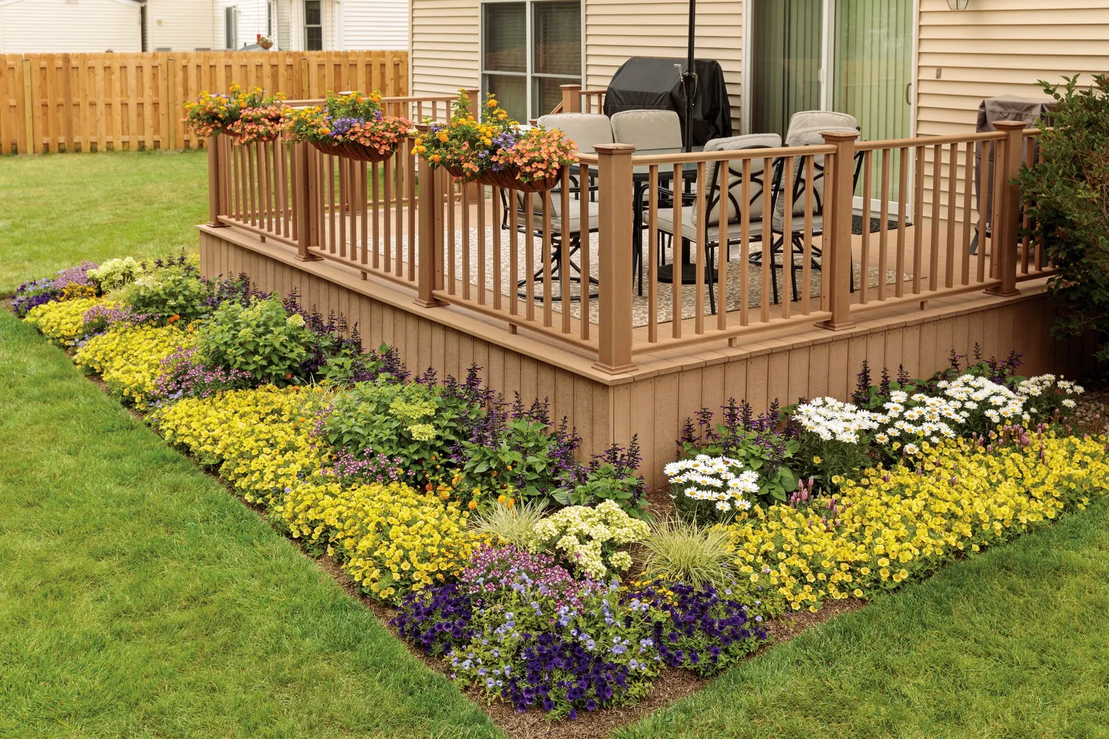 Yellow Petunia — These extra applications of plant food really makes a difference in performance through the summer