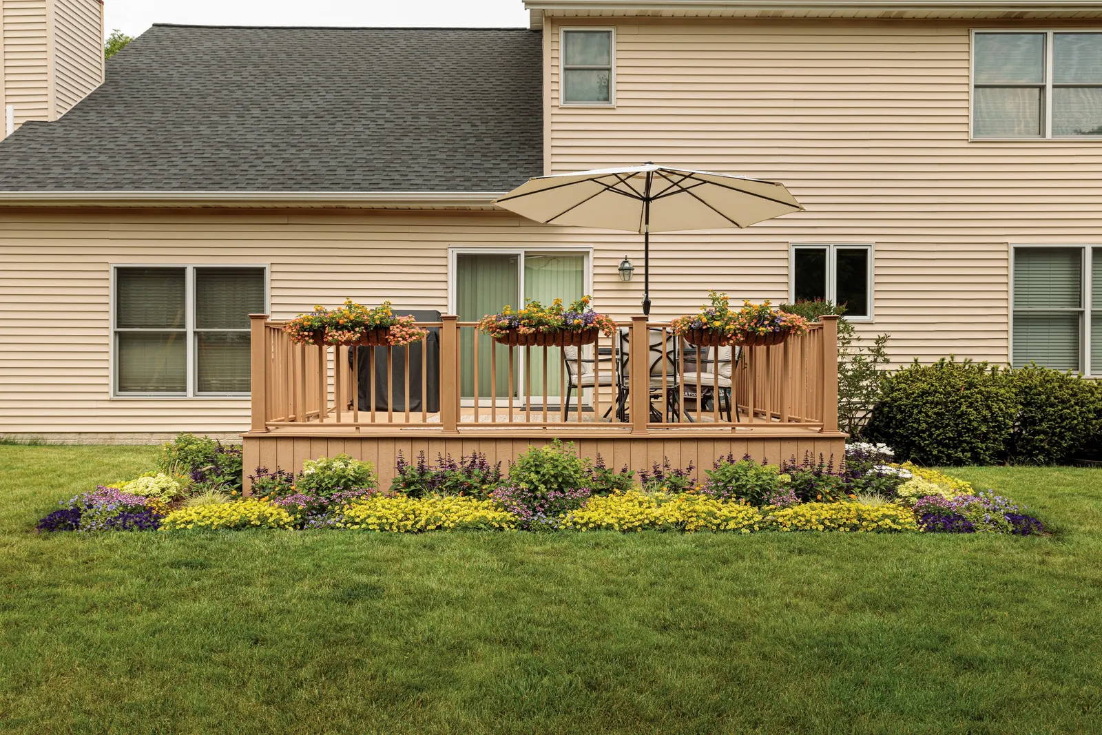 Yellow Petunia — In general, containers need to be fed more than landscape plants