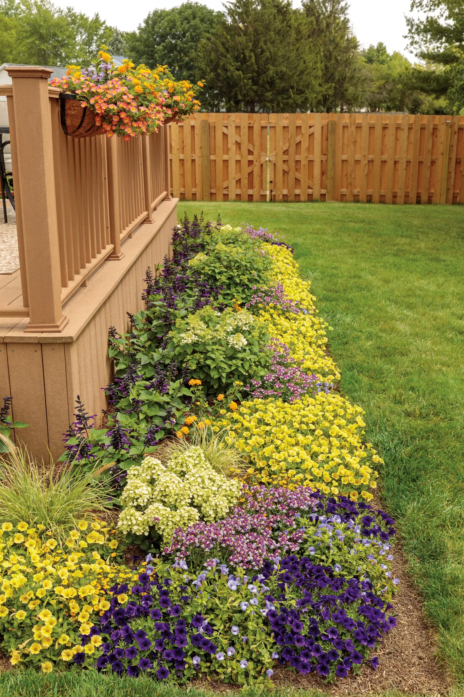 Yellow Petunia — Use a sharp pair of scissors or pruning shears to trim back up to 1/3 of the volume of the plant