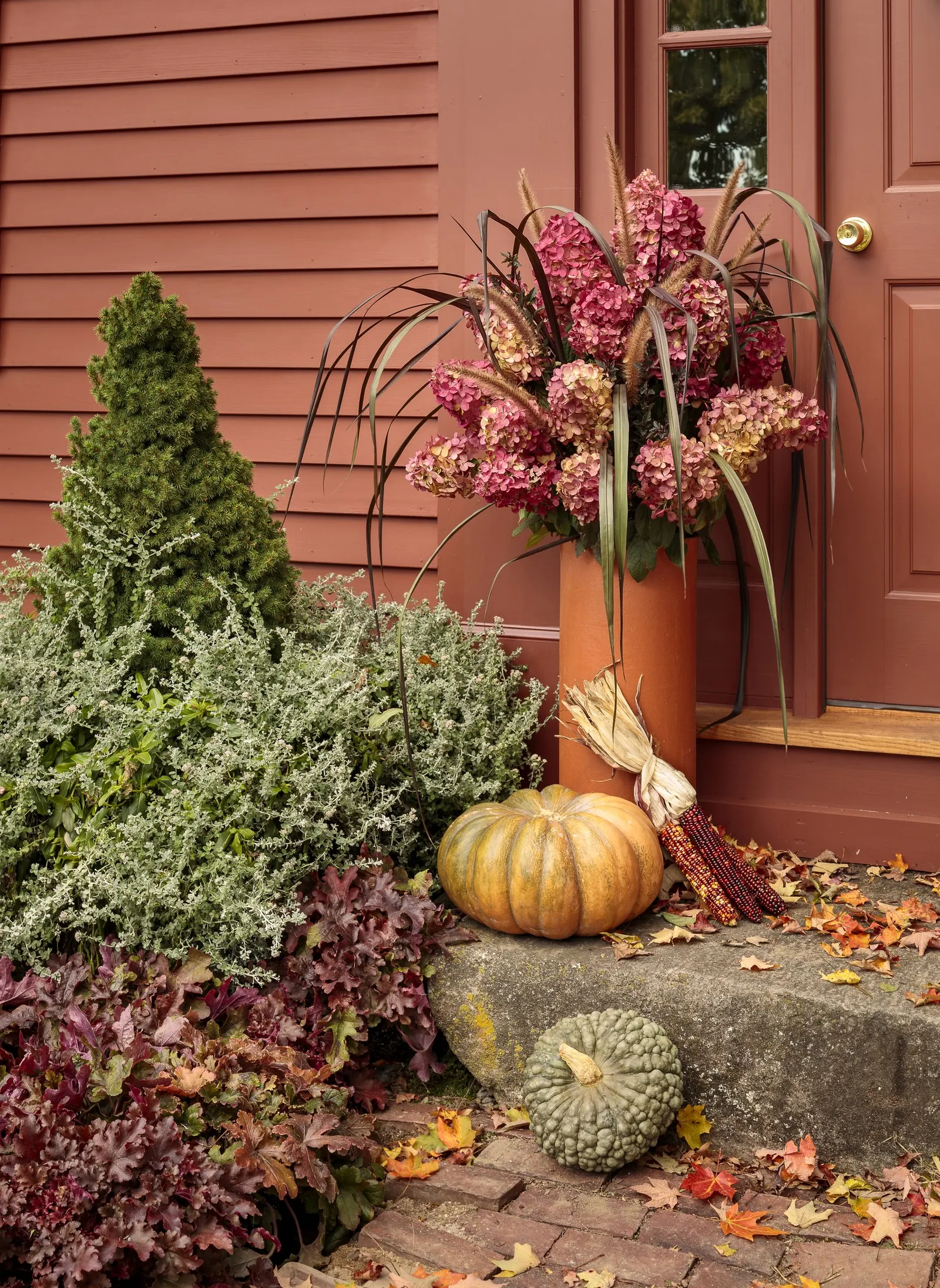 Fire Light® Panicle Hydrangea (Hydrangea paniculata) — then deepen to a vivid red as the season advances