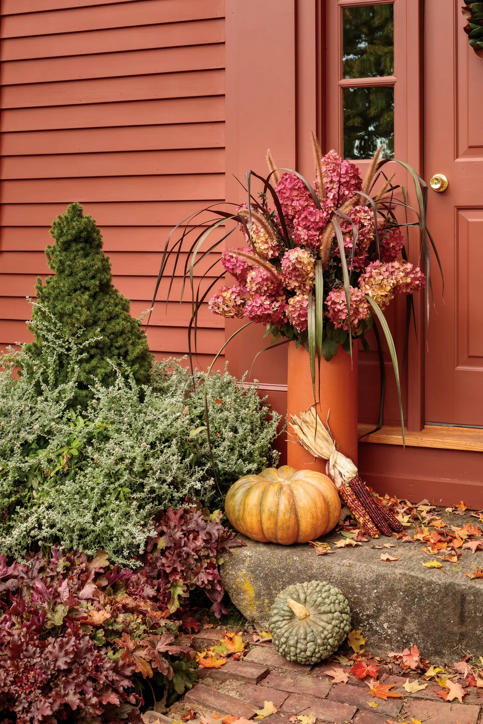 Fire Light® Panicle Hydrangea (Hydrangea paniculata) — Gardeners often note that the richest red tones become more pronounced as the plant settles in and