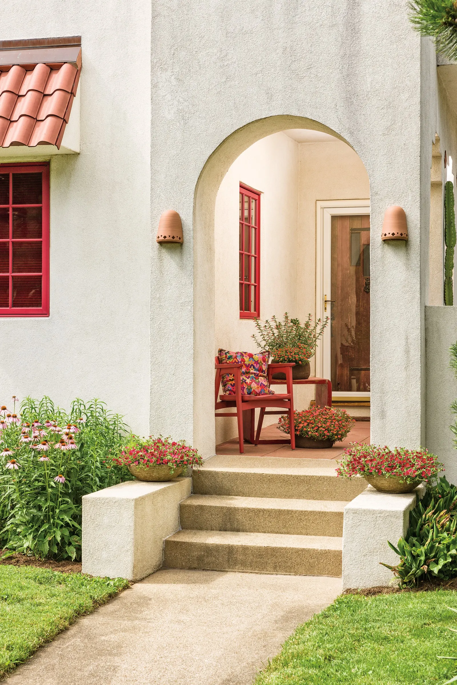 Pink Purslane (Portulaca umbraticola) — Proven Winners - Mojave® Pink - Purslane - Portulaca umbraticola pink plant details, information and resources