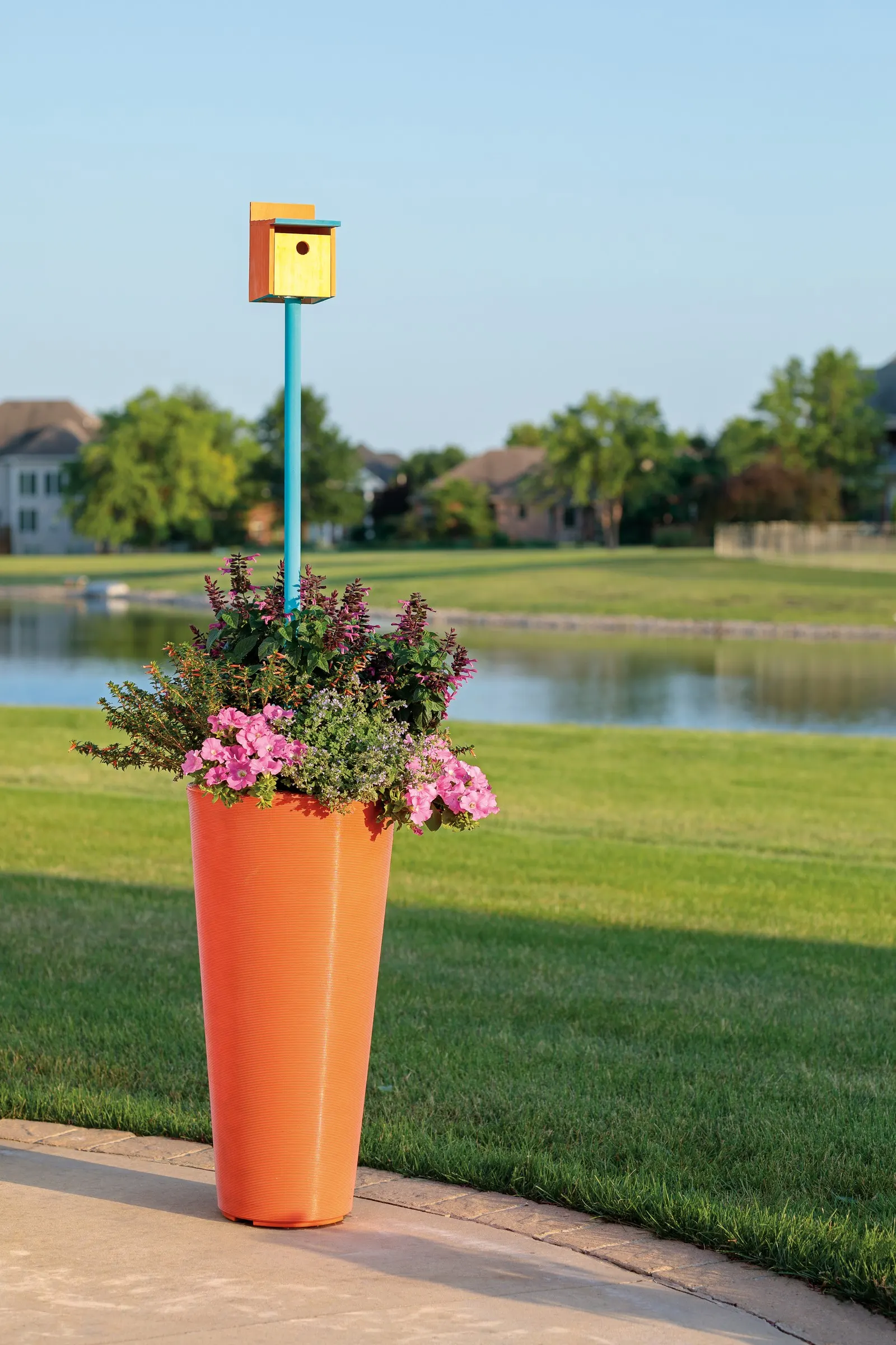 Giant Pink Petunia — a second application of controlled release plant food should be considered for landscape plantings
