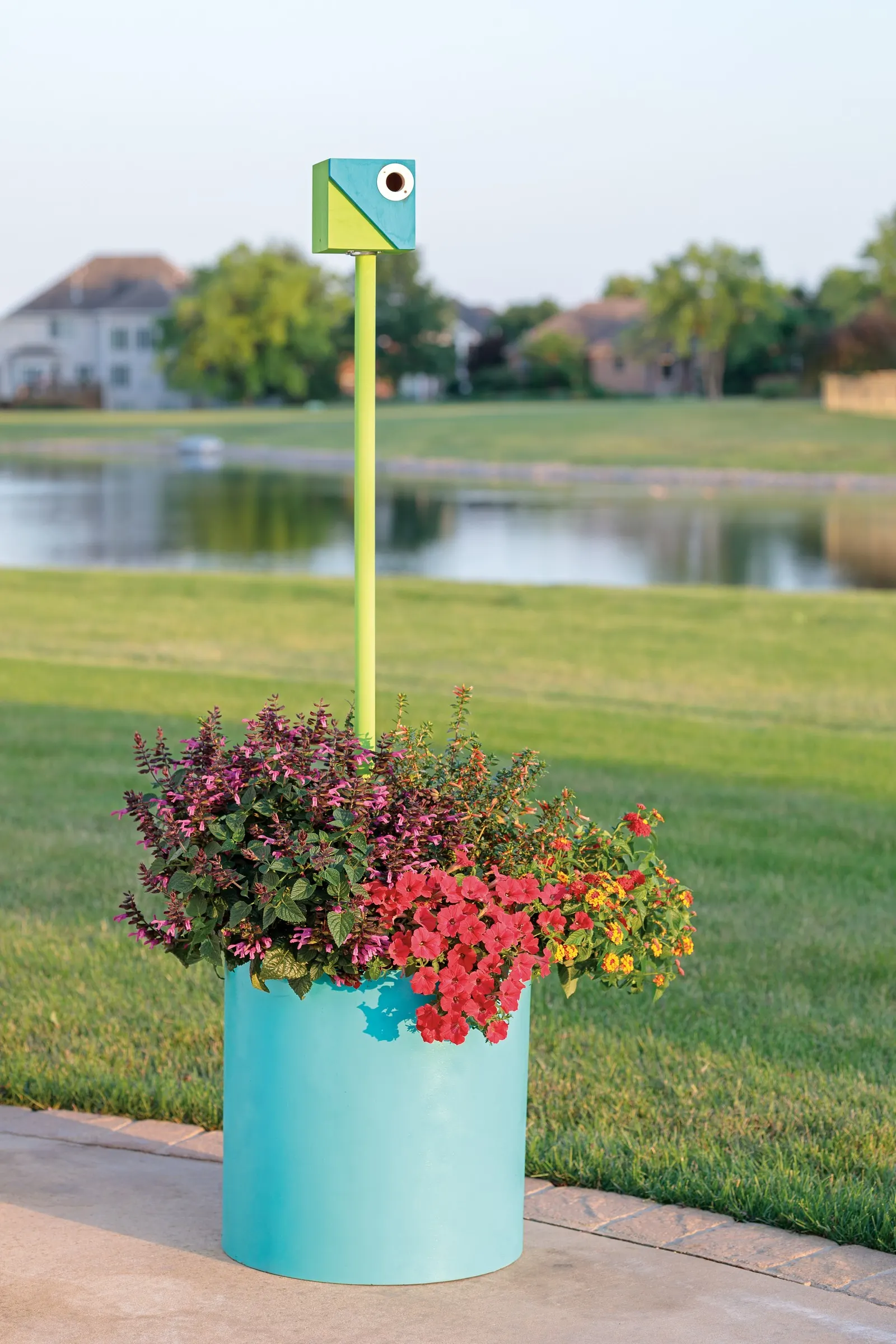 Vermillionaire® Large Firecracker Plant (Cuphea ignea) — Part of the Proven Winners® collection