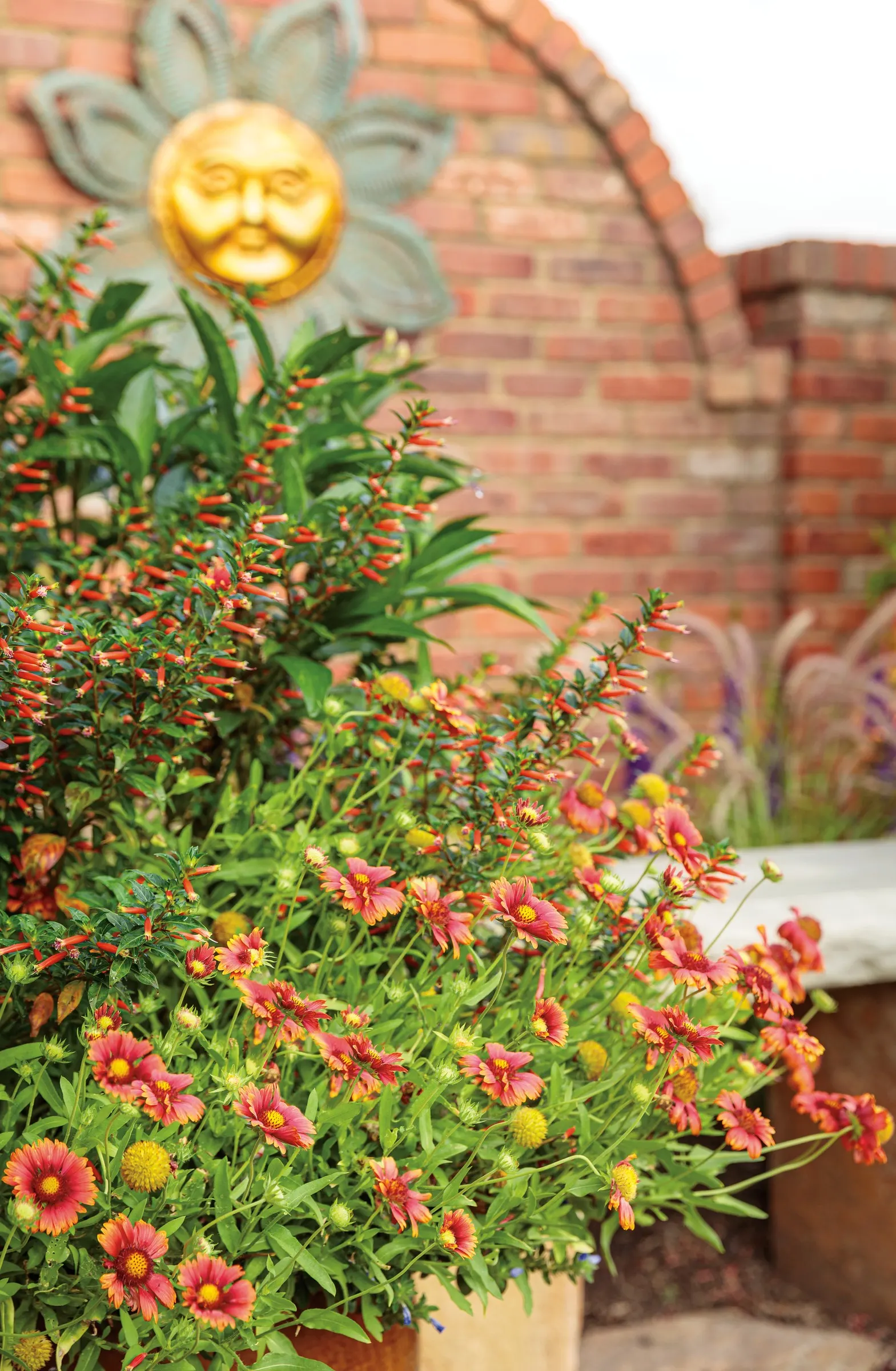 Super White Summer Snapdragon (Angelonia) — and commercial displays where clean color and dependable summer structure are essential; where heat brings out its