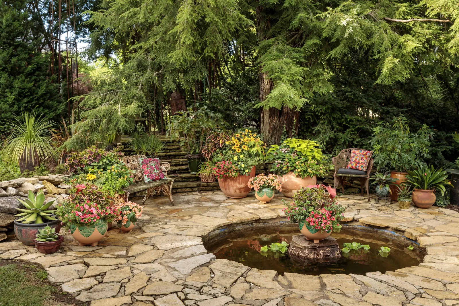 Sonic Bloom® Punch Weigela (Weigela florida) — is a compact deciduous shrub that brings vivid