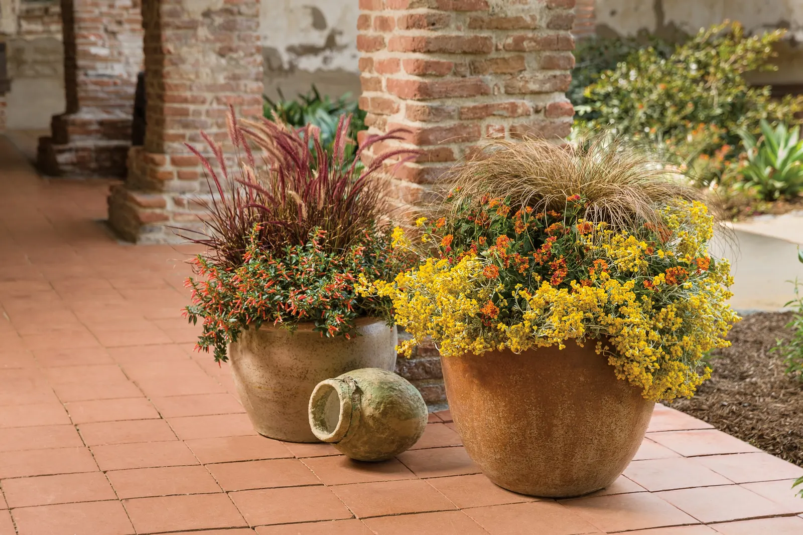 Vermillionaire® Large Firecracker Plant (Cuphea ignea) — like tiny embers held against fresh green foliage