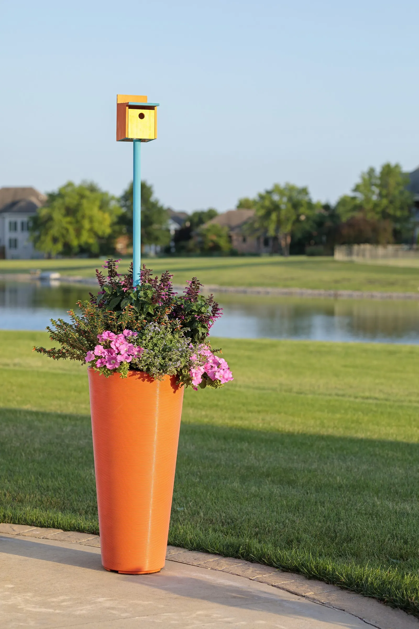 Fuchsia Salvia — with an upright habit that gives it useful structure in mixed plantings